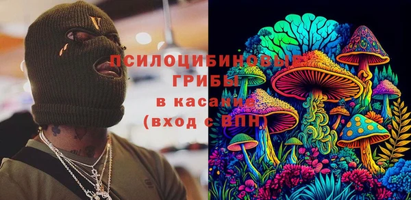 PSILOCYBIN Лабытнанги