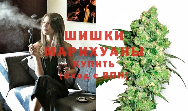 PSILOCYBIN Лабытнанги