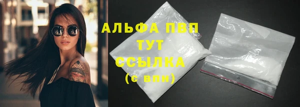 амф Ладушкин