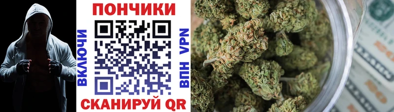 Конопля планчик  Берёзовка 
